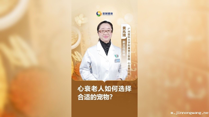 心衰老人如何选择合适的宠物？