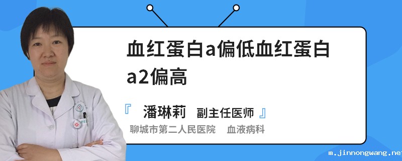 血红蛋白a偏低血红蛋白a2偏高