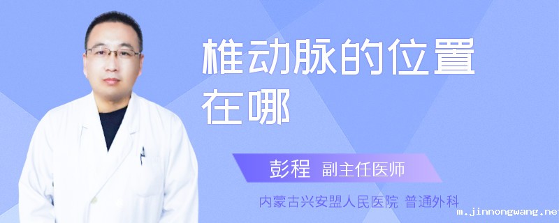 椎动脉的位置在哪