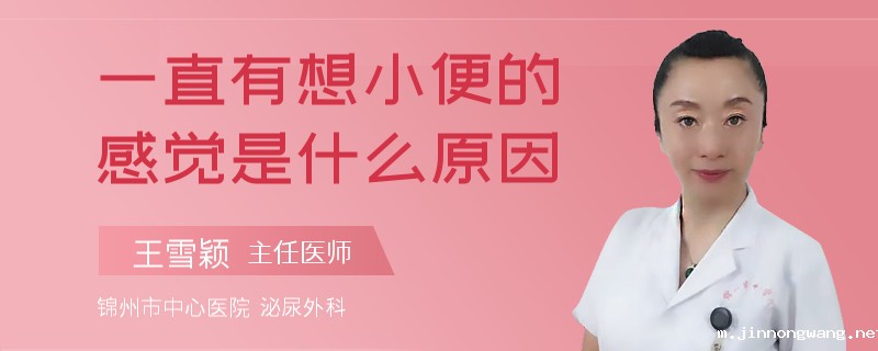 一直有想小便的感觉是什么原因