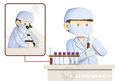 抗D抗体及不规则抗体测定
