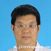 张晓