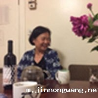 叶铁真